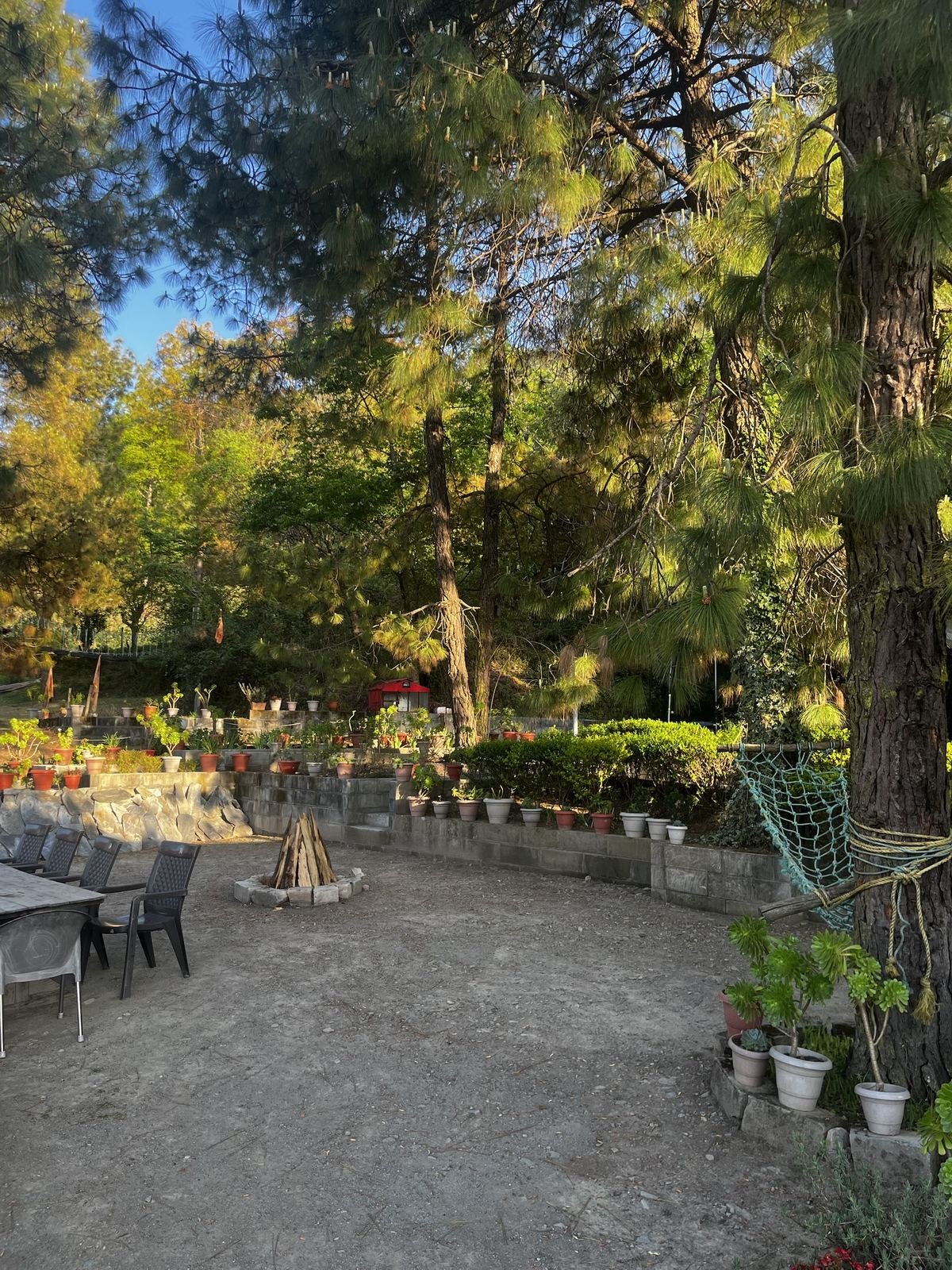 Open courtyard under tall pine trees with a stacked bonfire, outdoor seating and a rope net course
